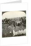 Removing a field gun from a flooded position, World War I by Realistic Travels Publishers