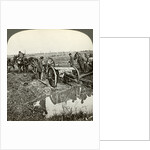 Removing a field gun from a flooded position, World War I by Realistic Travels Publishers