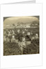 Girls picking tea, Uji, Japan by Underwood & Underwood