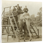 Elephant ride by Anonymous