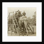 Elephant ride by Anonymous