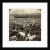 Cattle, Great Union Stock Yards, Chicago, Illinois, USA by Underwood & Underwood