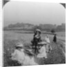 Children in a meadow, Keswick, Cumbria by Excelsior Stereoscopic Tours