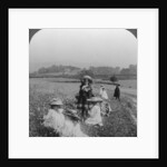 Children in a meadow, Keswick, Cumbria by Excelsior Stereoscopic Tours