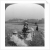 Children in a meadow, Keswick, Cumbria by Excelsior Stereoscopic Tours