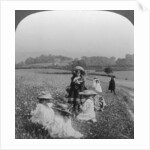 Children in a meadow, Keswick, Cumbria by Excelsior Stereoscopic Tours