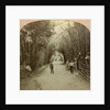 The Mardyke, Cork, Ireland by BW Kilburn