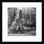 Cavalry passing through the great tree 'California', California, USA by Underwood & Underwood