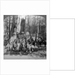 Cavalry passing through the great tree 'California', California, USA by Underwood & Underwood