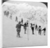 Ascending a steep snowfield, Stevens Glacier, Mount Rainier, Washington, USA by Underwood & Underwood