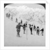 Ascending a steep snowfield, Stevens Glacier, Mount Rainier, Washington, USA by Underwood & Underwood