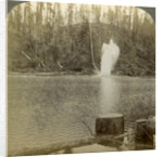 Log flume, Oregon, USA by Underwood & Underwood
