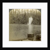 Log flume, Oregon, USA by Underwood & Underwood