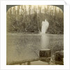 Log flume, Oregon, USA by Underwood & Underwood