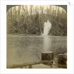 Log flume, Oregon, USA by Underwood & Underwood
