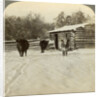 Winter on a ranch, Montana, USA by Underwood & Underwood