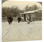 Winter on a ranch, Montana, USA by Underwood & Underwood
