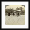 Winter on a ranch, Montana, USA by Underwood & Underwood