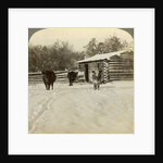 Winter on a ranch, Montana, USA by Underwood & Underwood
