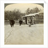 Winter on a ranch, Montana, USA by Underwood & Underwood