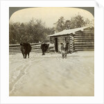 Winter on a ranch, Montana, USA by Underwood & Underwood