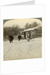 Winter on a ranch, Montana, USA by Underwood & Underwood