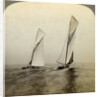 'Shamrock I' and 'Shamrock III' in a trial race off Sandy Hook, USA by Underwood & Underwood