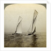 'Shamrock I' and 'Shamrock III' in a trial race off Sandy Hook, USA by Underwood & Underwood