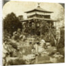 Japanese garden at the World's Fair, St Louis, Missouri, USA by Underwood & Underwood