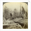 Winter scene, Luna Island, Niagara Falls, New York, USA by Underwood & Underwood