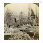 Winter scene, Luna Island, Niagara Falls, New York, USA by Underwood & Underwood