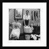 The New Woman, Wash Day by American Stereoscopic Company