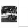 All Sorts and Sizes by The Fine Art Photographers Co