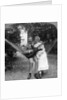 The Musical Pair in the Hammock by American Stereoscopic Company