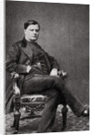 Count Walewski, French statesman by Anonymous
