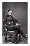 Count Walewski, French statesman by Anonymous