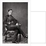 Count Walewski, French statesman by Anonymous