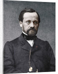 Louis Pasteur, French microbiologist and chemist by Anonymous