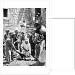 Killing the fatted calf by Underwood & Underwood