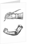 Artificial limbs by Anonymous