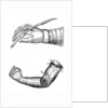 Artificial limbs by Anonymous