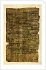 Papyrus letter from a schoolboy to his father, c200 AD by Anonymous
