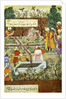 Babur superintending in the Garden of Fidelity by Anonymous