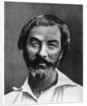 Walt Whitman, American poet by Anonymous