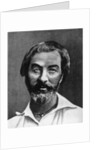 Walt Whitman, American poet by Anonymous