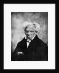 Nihilism: Arthur Schopenhauer, German philosopher by Anonymous