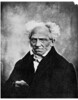 Nihilism: Arthur Schopenhauer, German philosopher by Anonymous