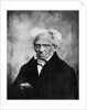 Nihilism: Arthur Schopenhauer, German philosopher by Anonymous