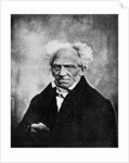 Nihilism: Arthur Schopenhauer, German philosopher by Anonymous