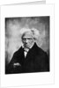 Nihilism: Arthur Schopenhauer, German philosopher by Anonymous